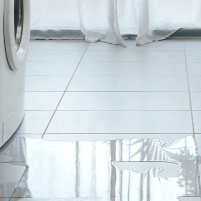 Appliance Leak Cleanup in Ladera, CA