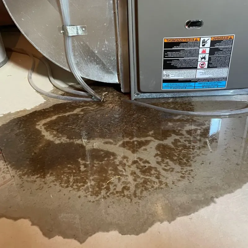 Pipe Burst and Leak Restoration in Ladera, CA